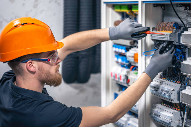 Best Electric Panel Repair  in Newton, TX